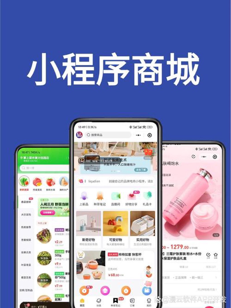 成都软件开发：推动行业创新与发展
